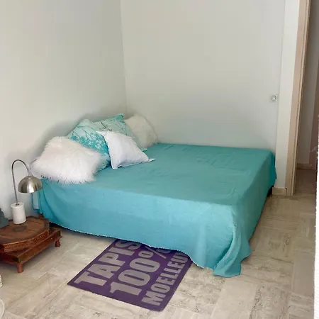 Appartement Bel Cap D Avec Terrasses Et Jardins Antibes